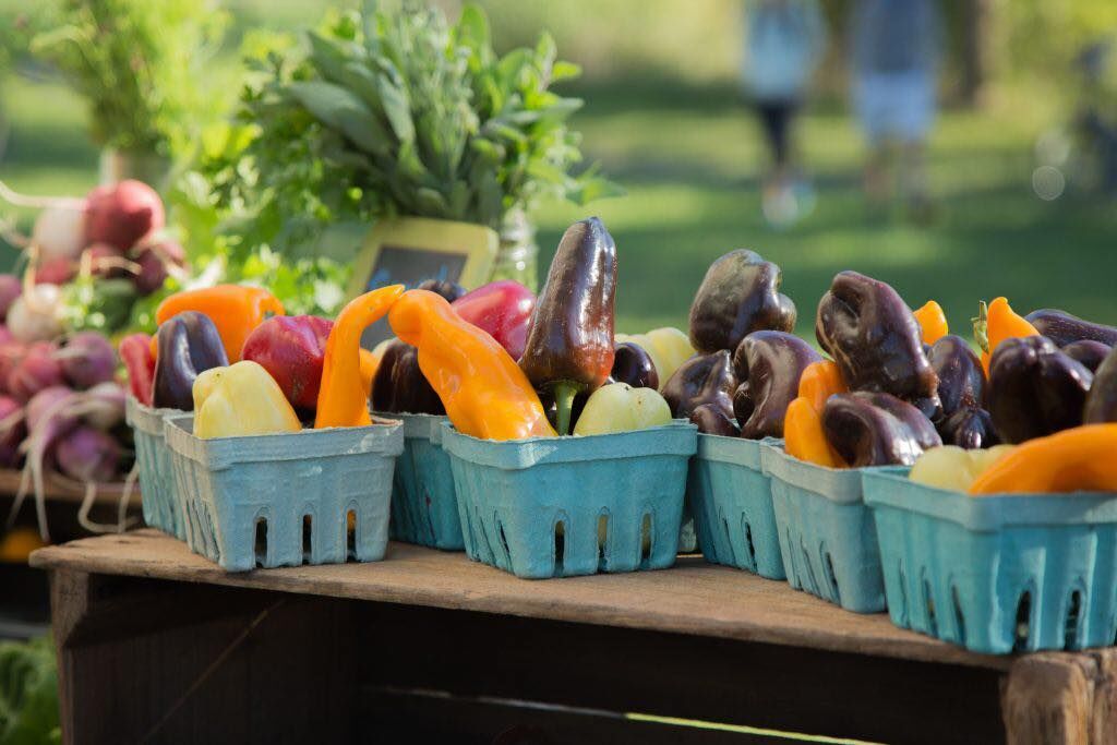 Farmers' Market at Sea Colony